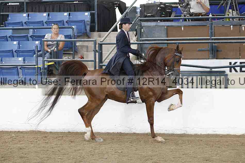 Proof Number 12r14_4034