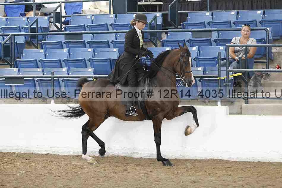 Proof Number 12r14_4035