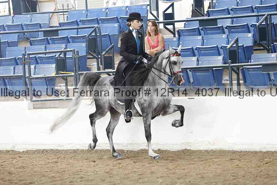 Proof Number 12r14_4037