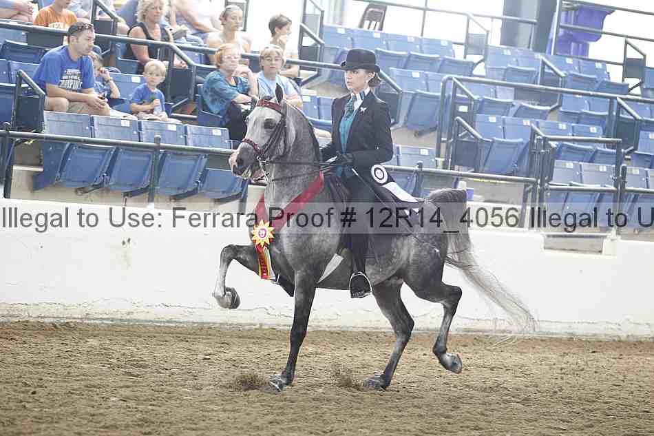 Proof Number 12r14_4056