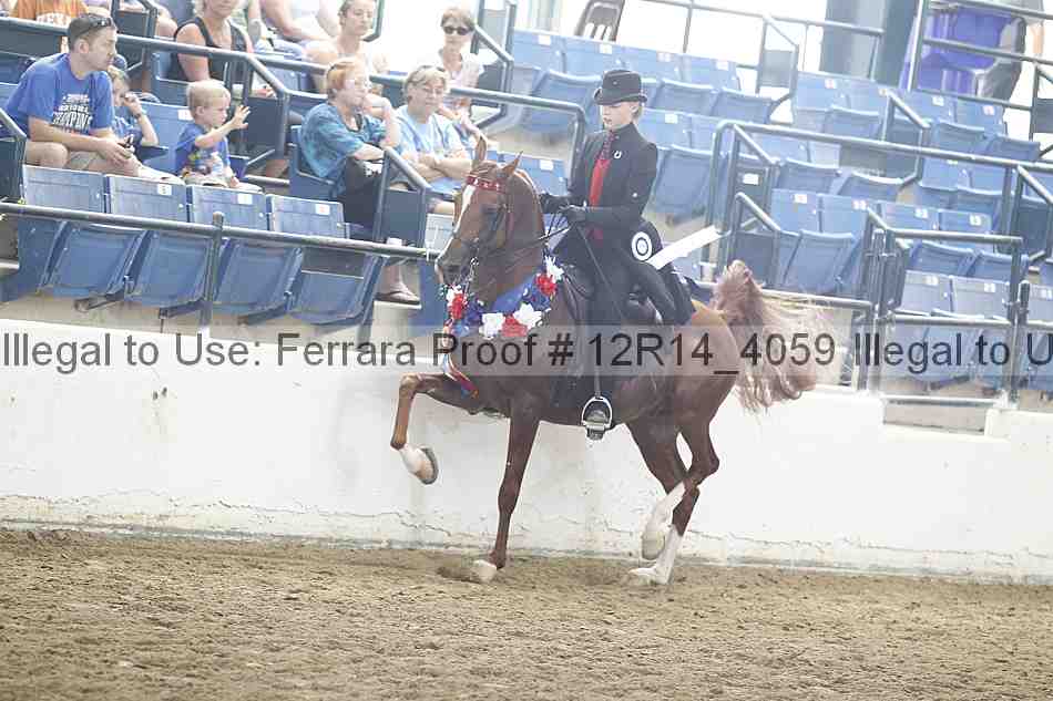 Proof Number 12r14_4059