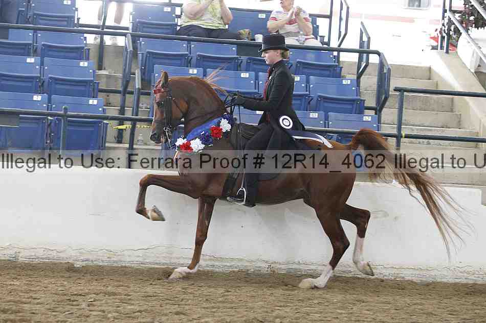 Proof Number 12r14_4062