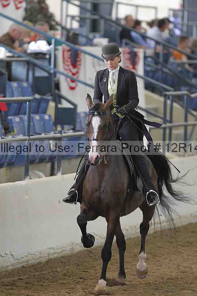 Proof Number 12r14_4064