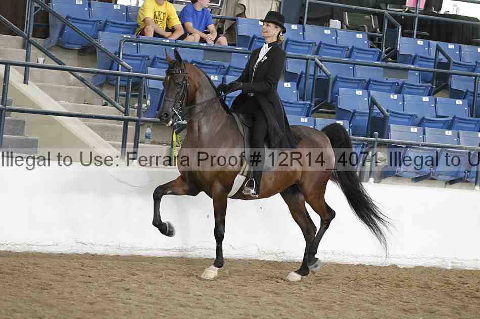 Proof Number 12r14_4071