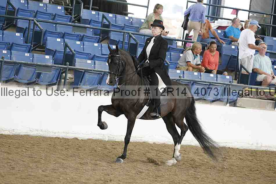 Proof Number 12r14_4073
