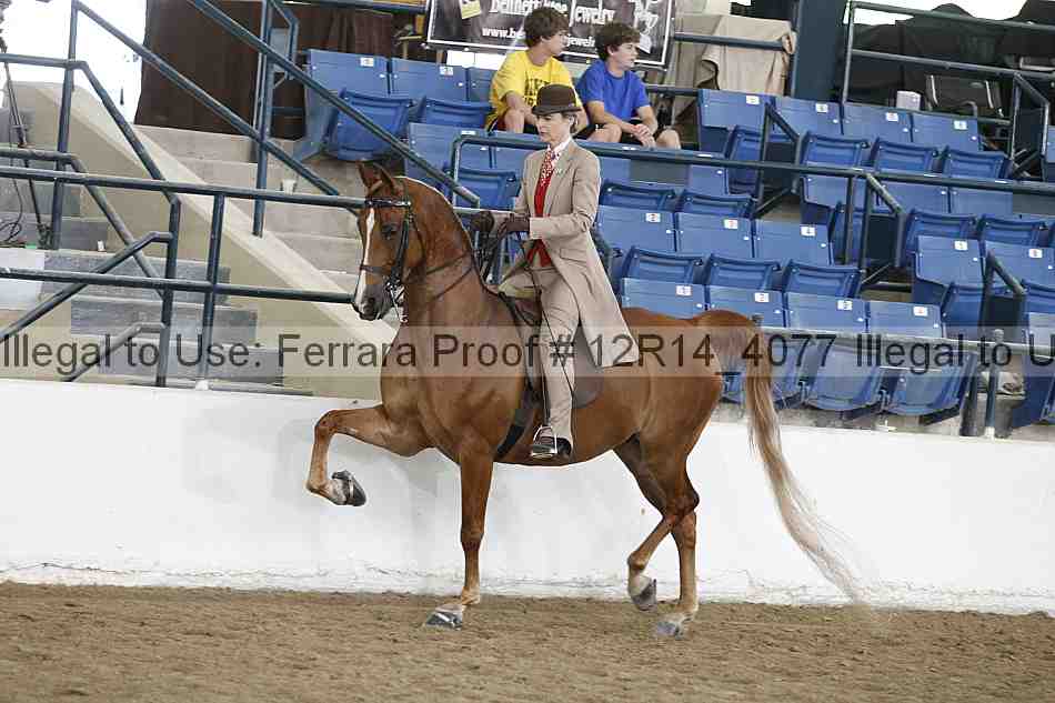 Proof Number 12r14_4077