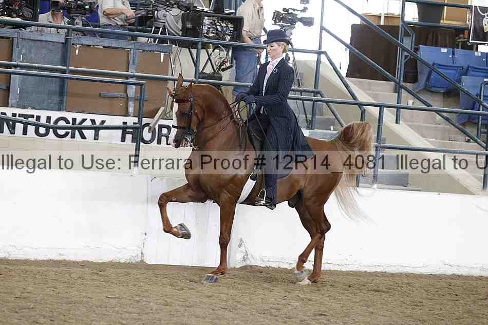 Proof Number 12r14_4081