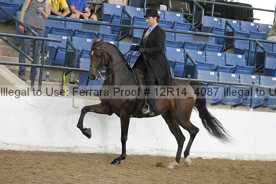 Proof Number 12r14_4087