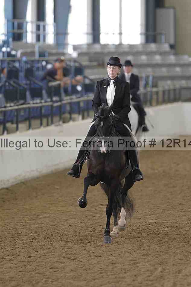 Proof Number 12r14_4092