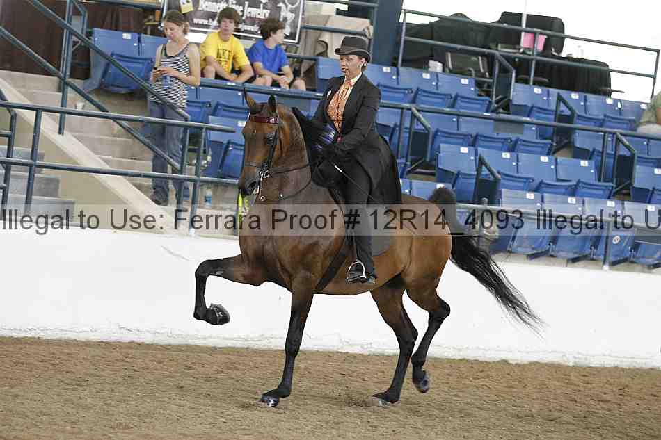 Proof Number 12r14_4093