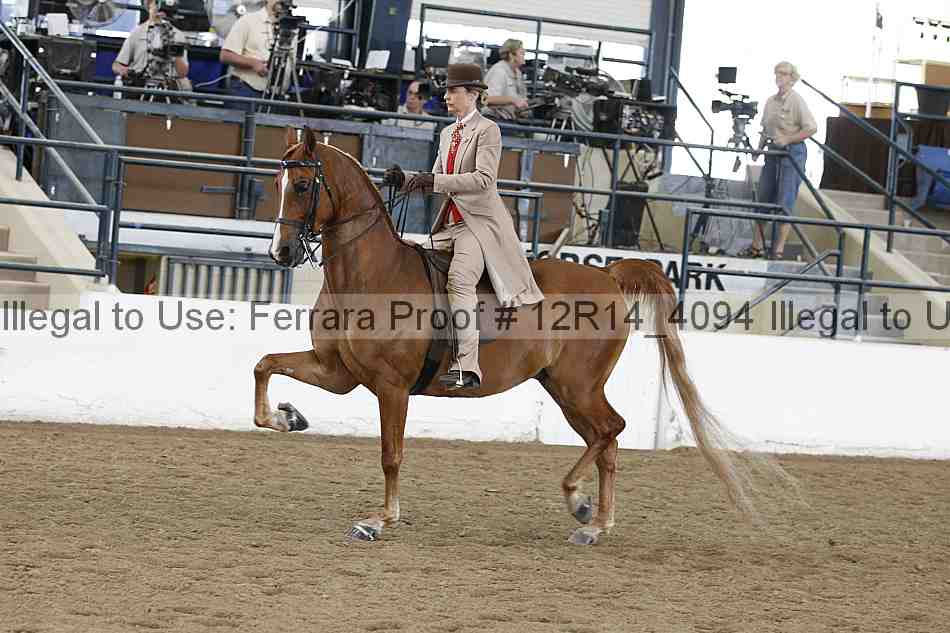 Proof Number 12r14_4094