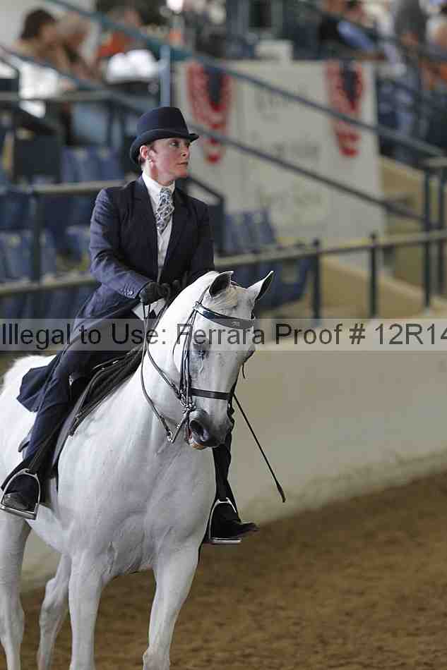 Proof Number 12r14_4095