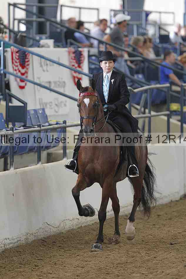 Proof Number 12r14_4096