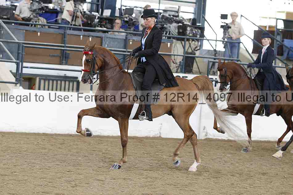 Proof Number 12r14_4097
