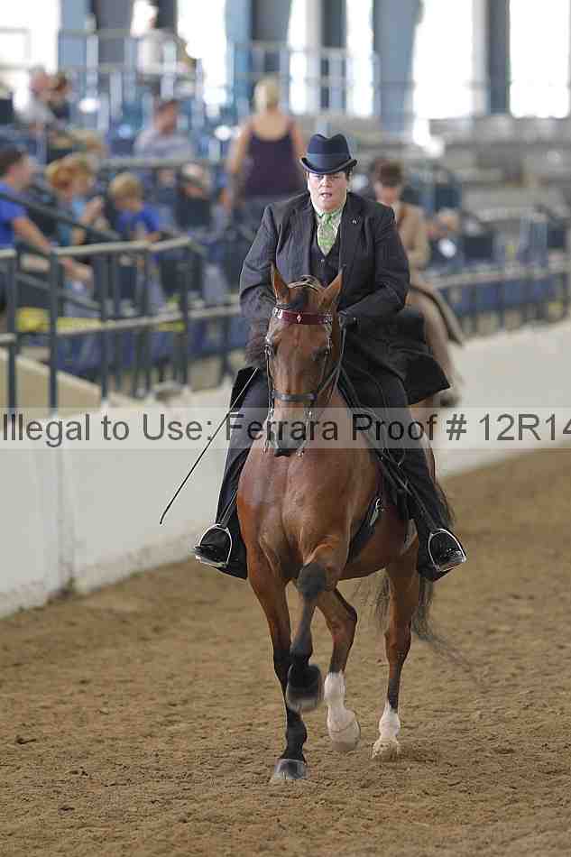 Proof Number 12r14_4098