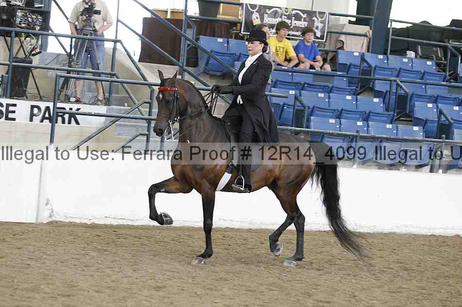 Proof Number 12r14_4099