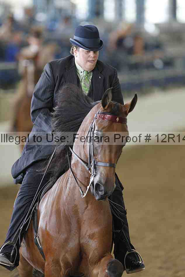 Proof Number 12r14_4100