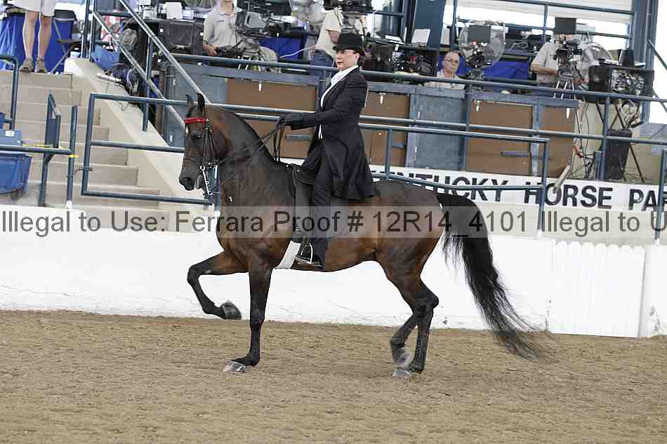Proof Number 12r14_4101