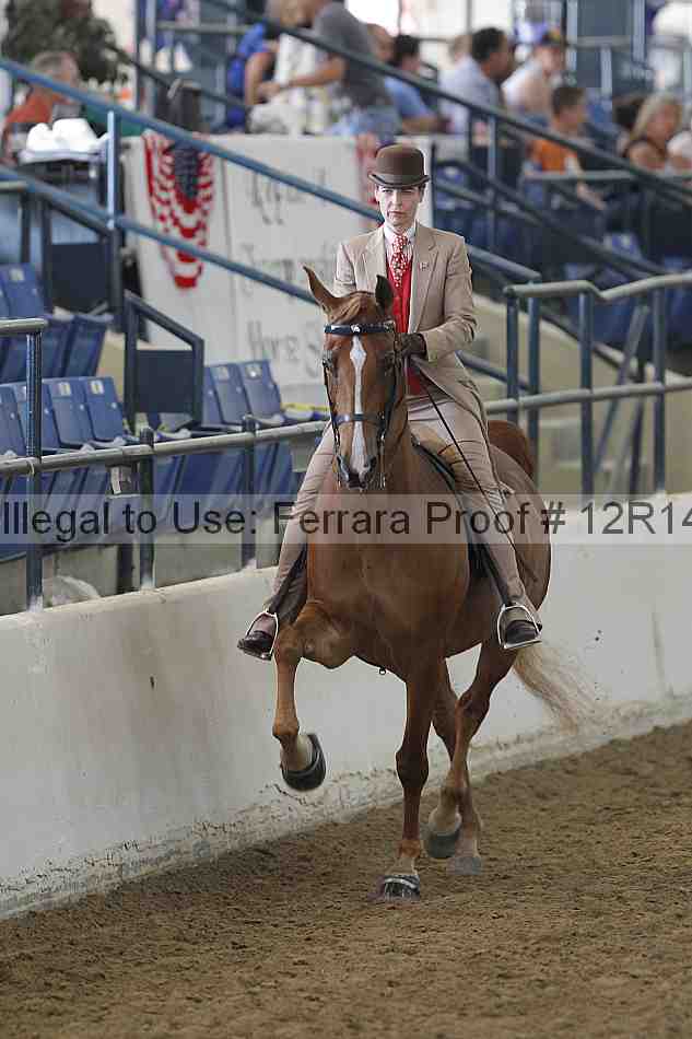 Proof Number 12r14_4102