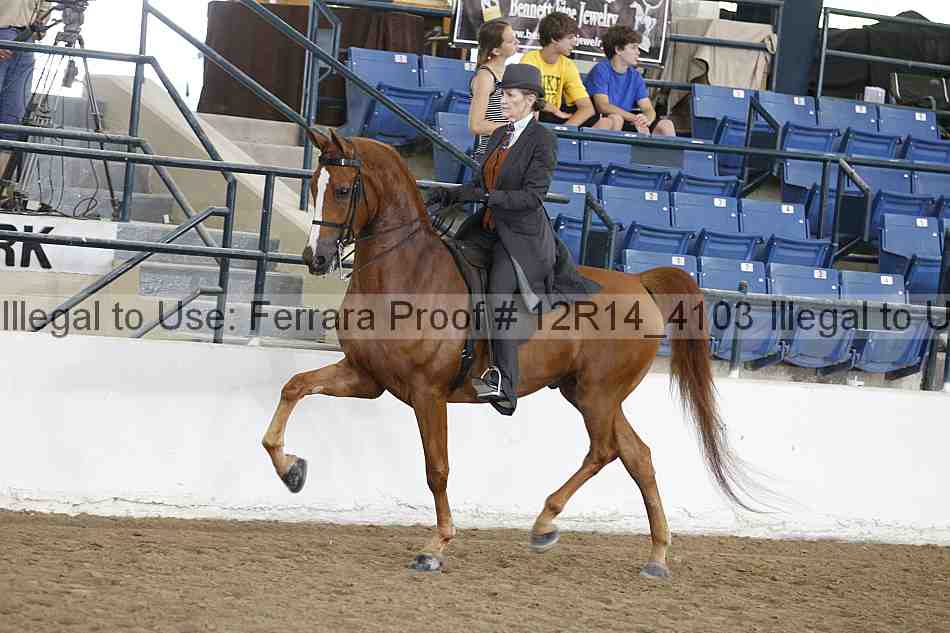 Proof Number 12r14_4103