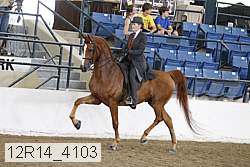 12r14_4103 thumbnail