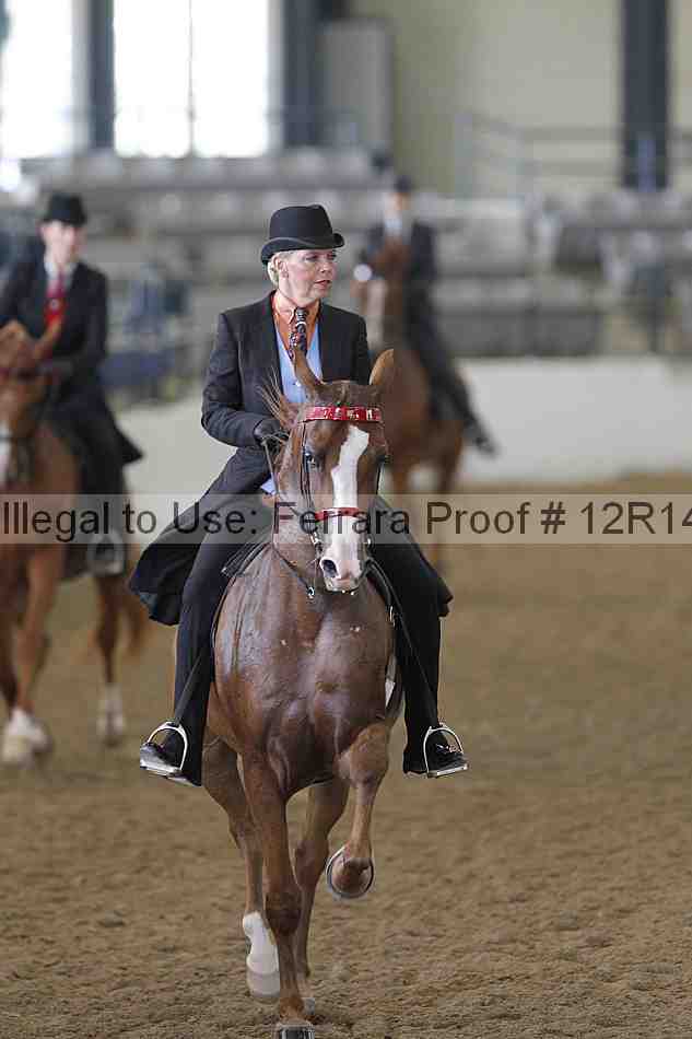 Proof Number 12r14_4104
