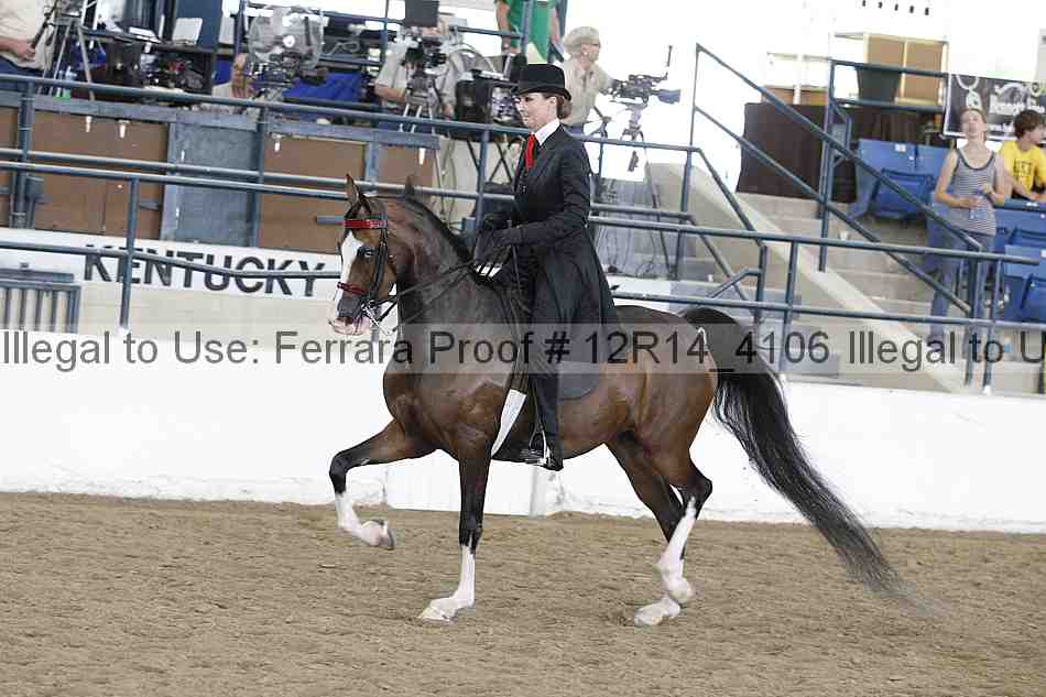 Proof Number 12r14_4106