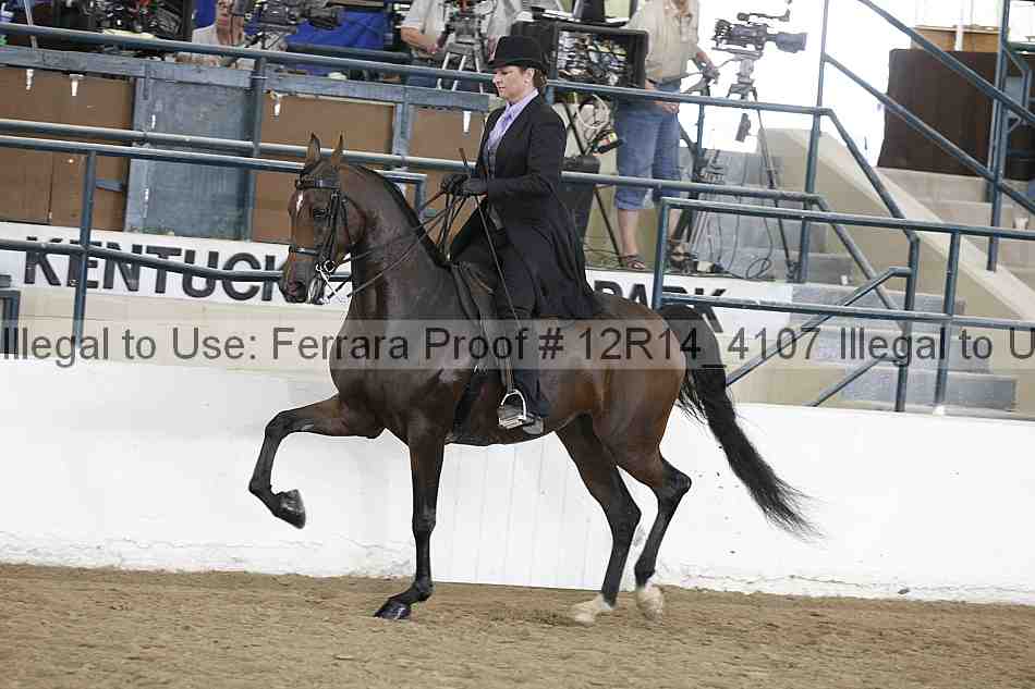 Proof Number 12r14_4107