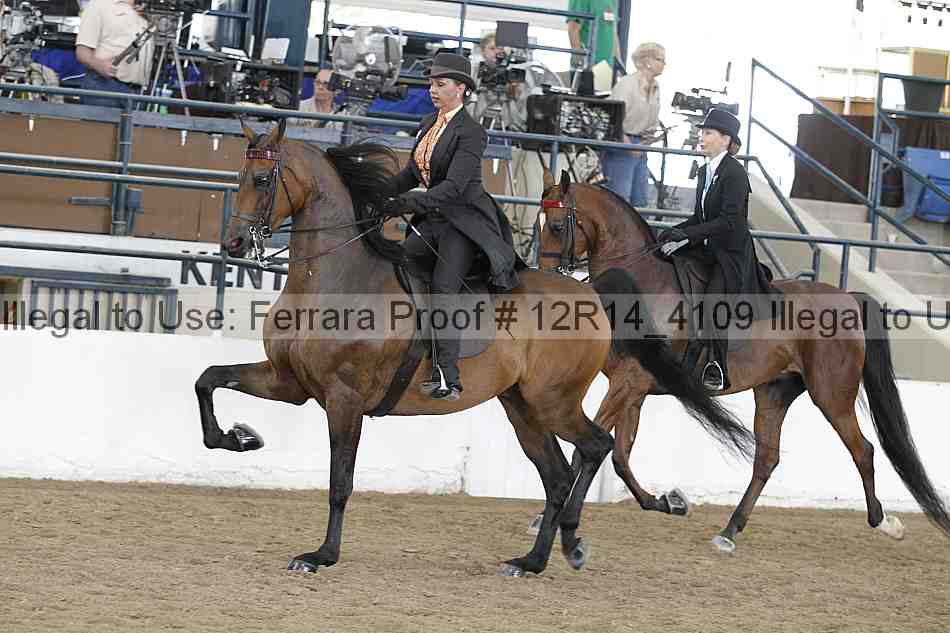 Proof Number 12r14_4109