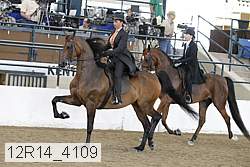 12r14_4109 thumbnail