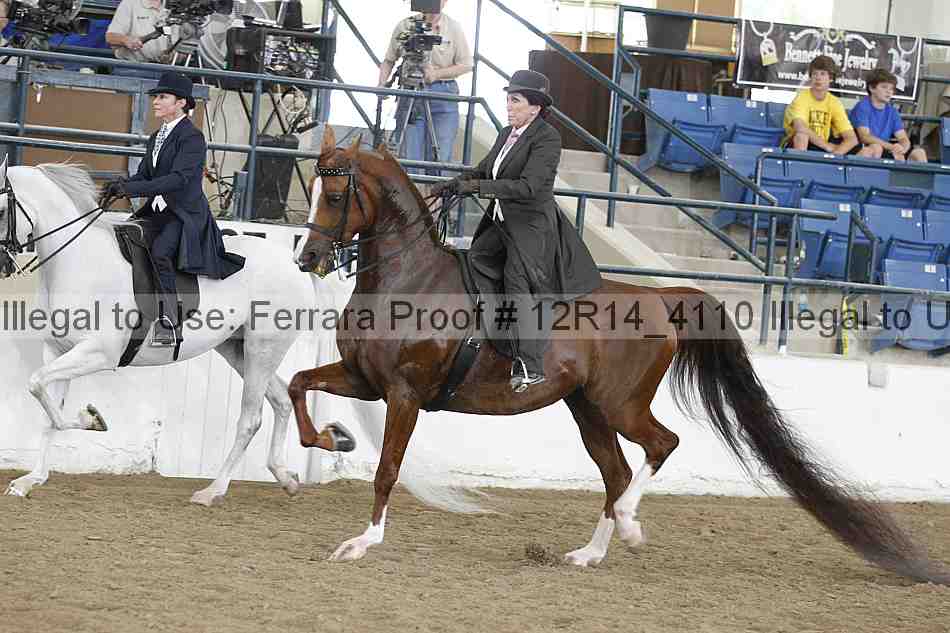 Proof Number 12r14_4110