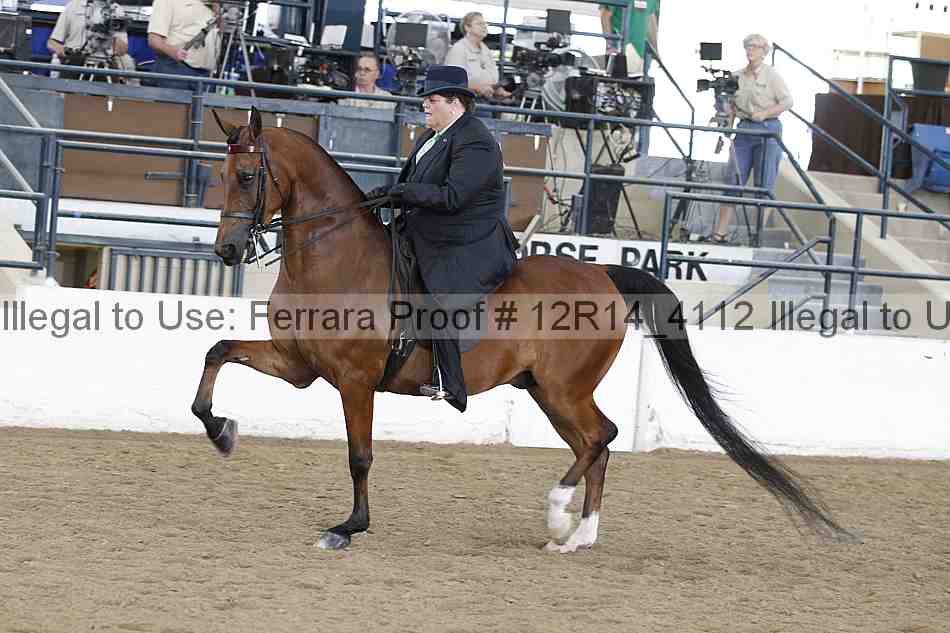Proof Number 12r14_4112