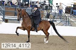 12r14_4112 thumbnail