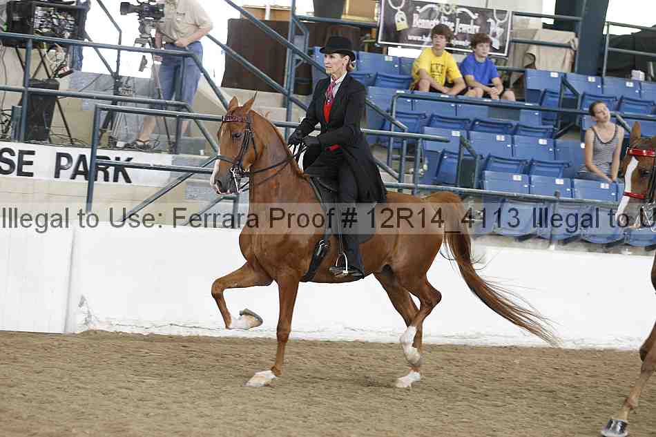 Proof Number 12r14_4113