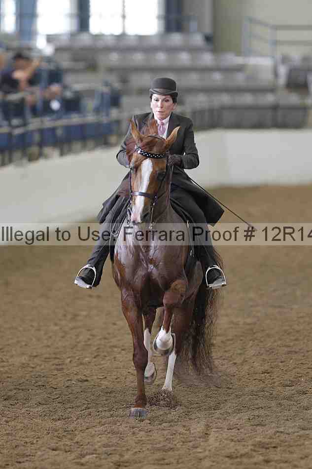Proof Number 12r14_4117