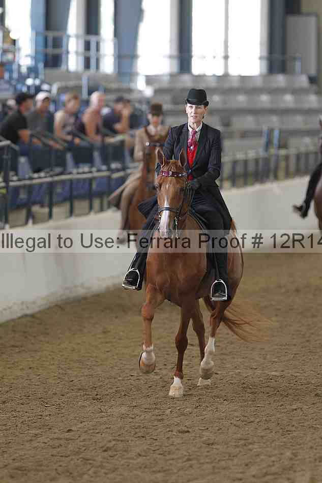 Proof Number 12r14_4120