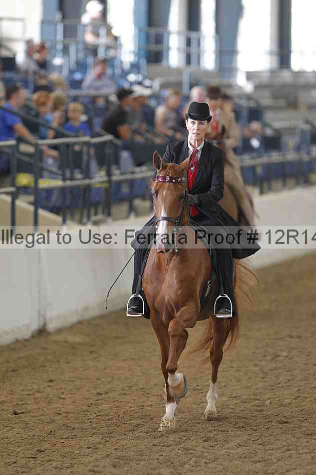 Proof Number 12r14_4121