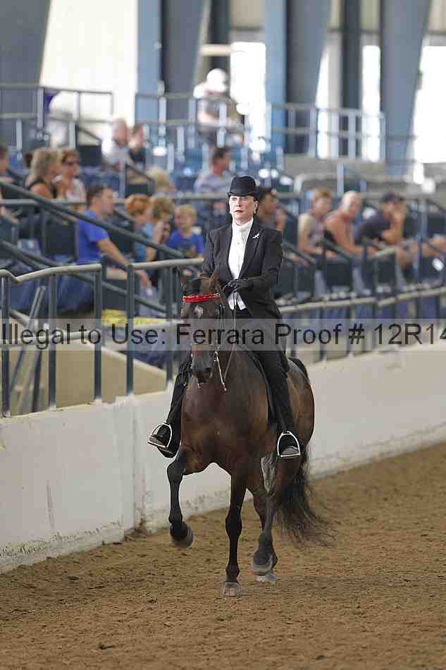 Proof Number 12r14_4123