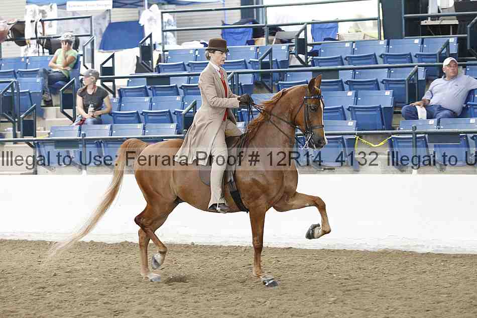 Proof Number 12r14_4132