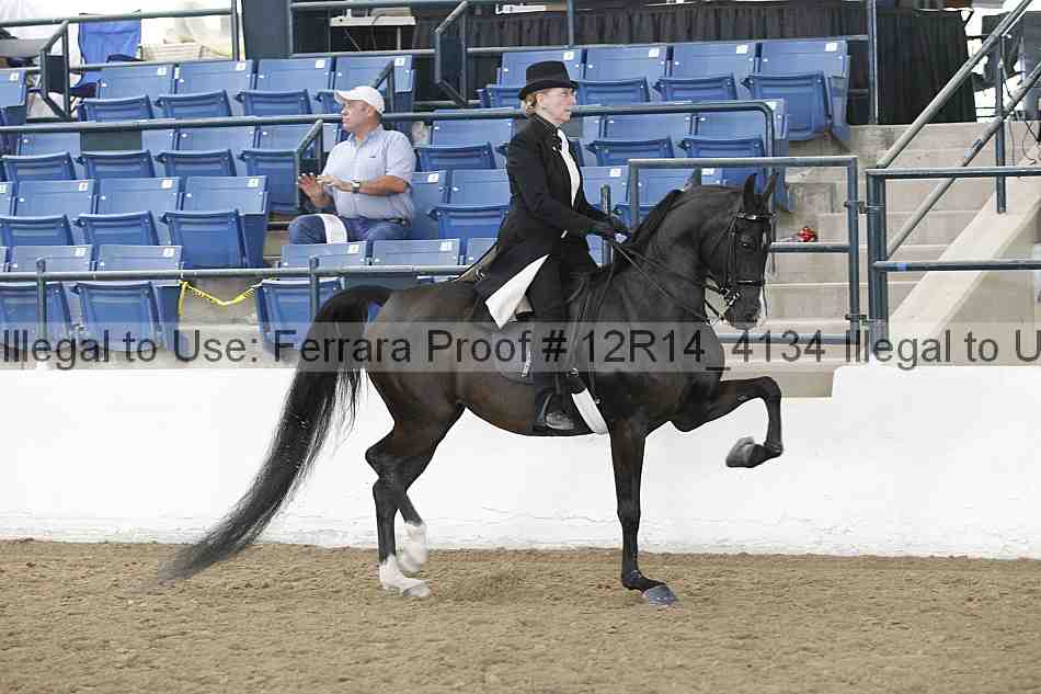 Proof Number 12r14_4134