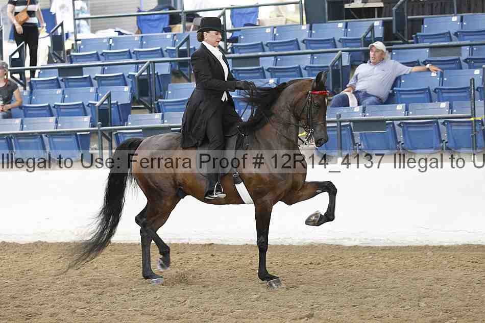 Proof Number 12r14_4137