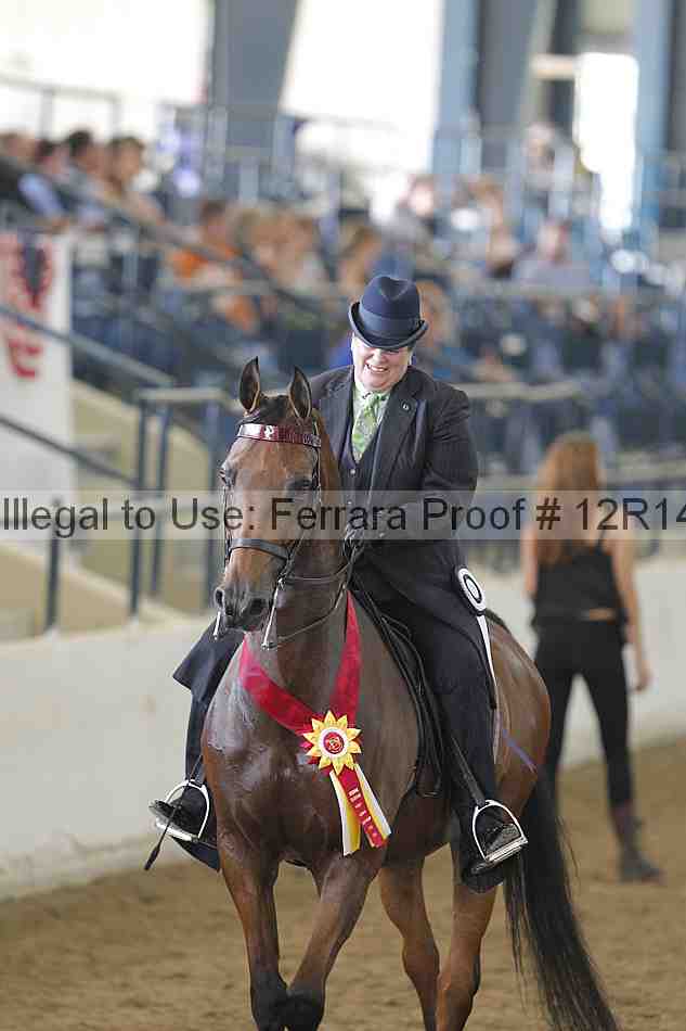 Proof Number 12r14_4140