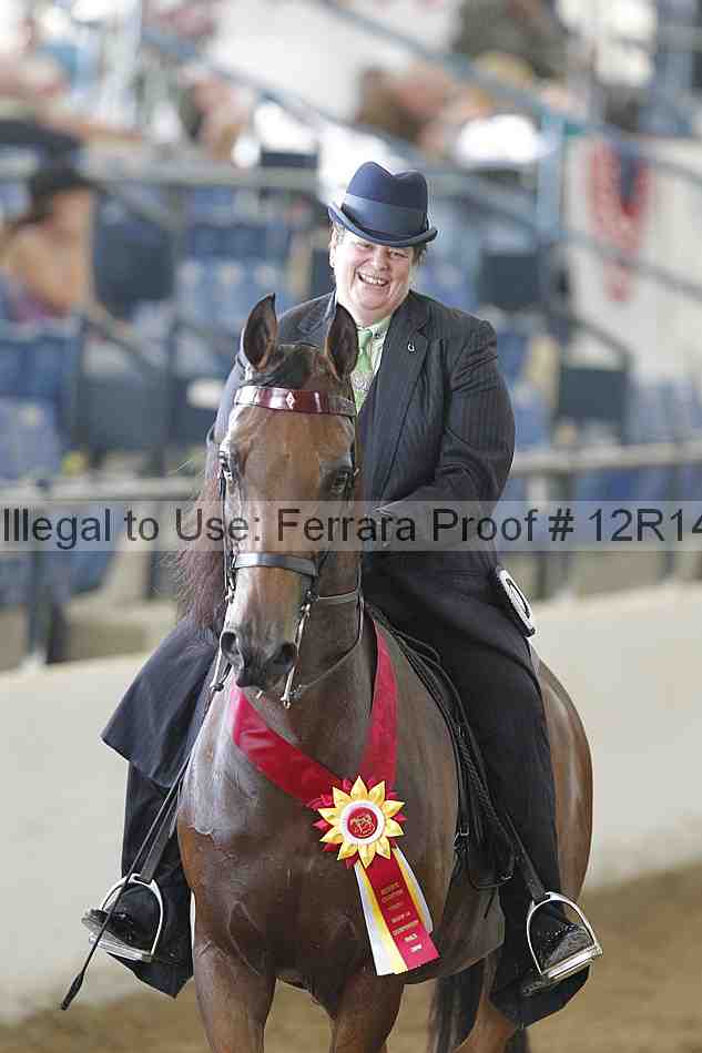 Proof Number 12r14_4146