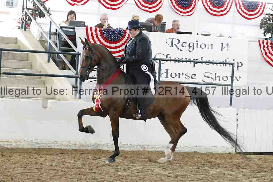 Proof Number 12r14_4157