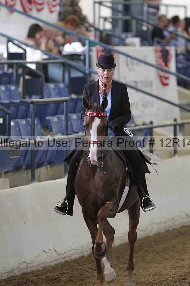 Proof Number 12r14_4160