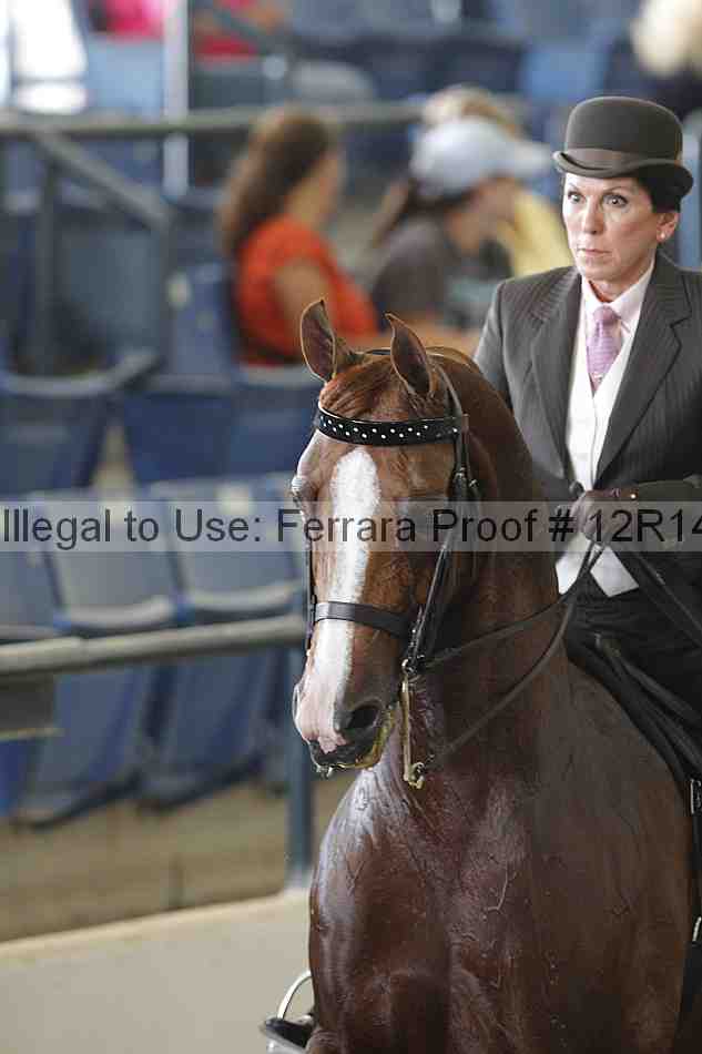 Proof Number 12r14_4166