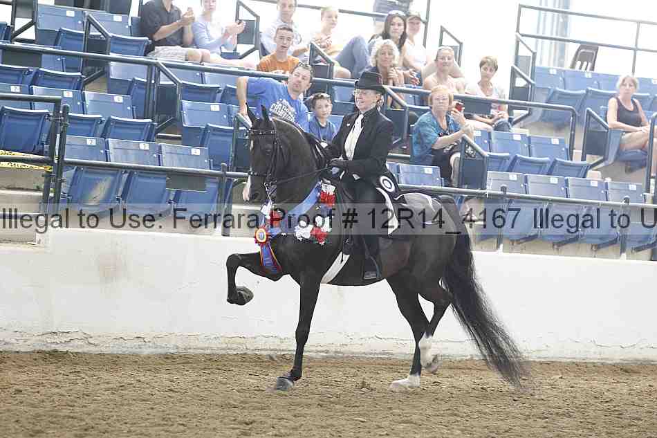 Proof Number 12r14_4167