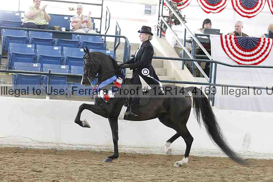 Proof Number 12r14_4169