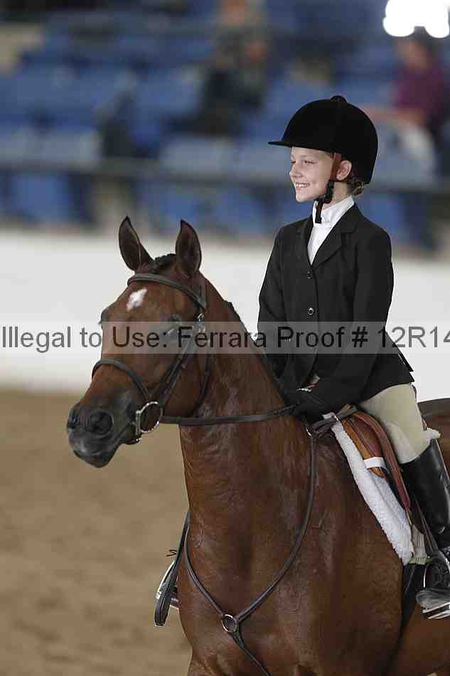 Proof Number 12r14_4202