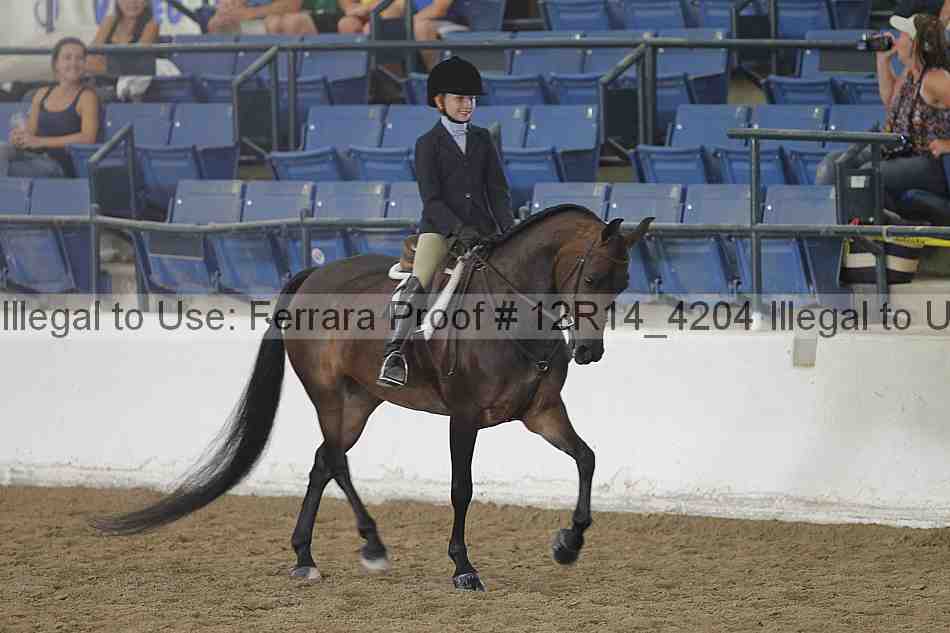 Proof Number 12r14_4204
